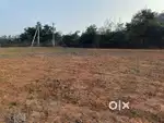 Land Available For Sale in Nuzvid