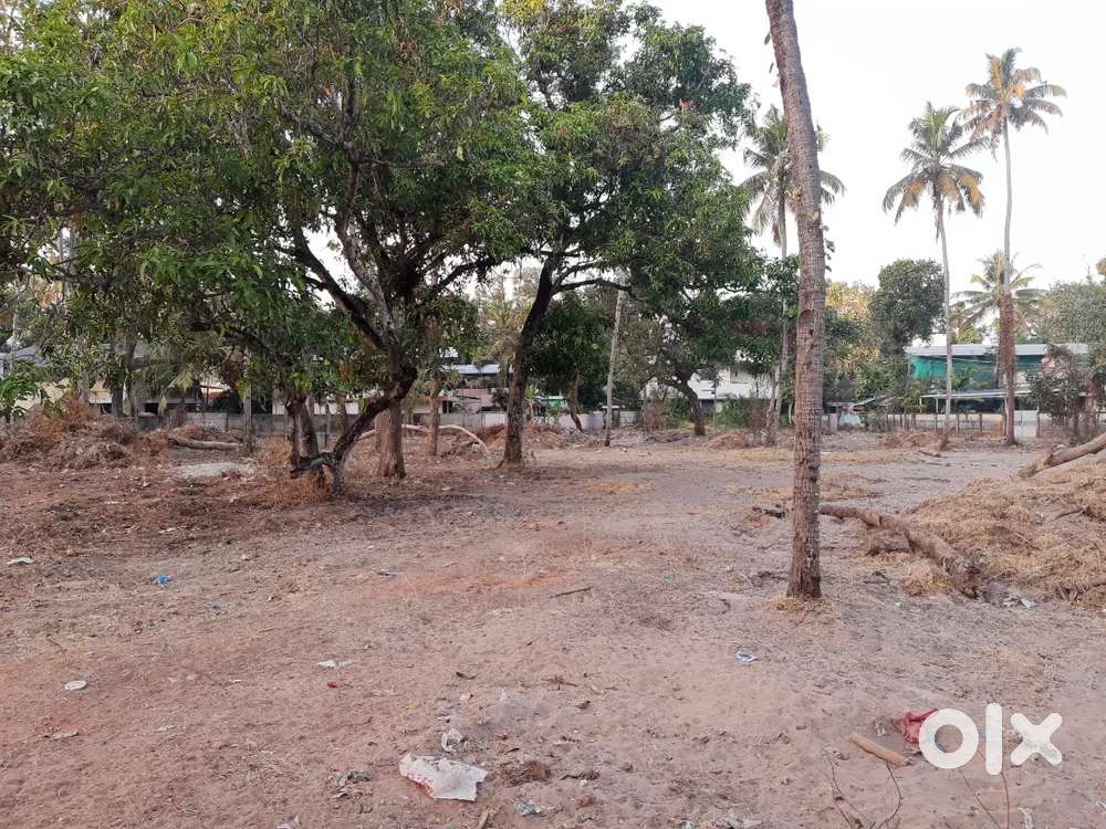 60 cents of level land availabke for plant nursery and agricultural