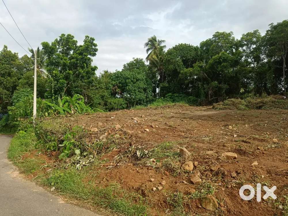 20cent plot for sale