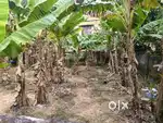 Plot for sale