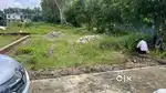 Low budget plots
