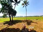 Paddy side plot at Manakkakadavu Kakkanad