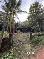 Plot for Sale in Curtorim