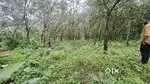 Trivandrum   Kallabalam pullurmukku