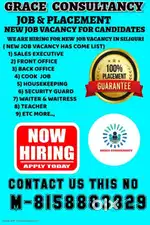 Grace consultancy