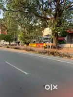 edapally highway front 21cent commercialplot  cent 53lakh