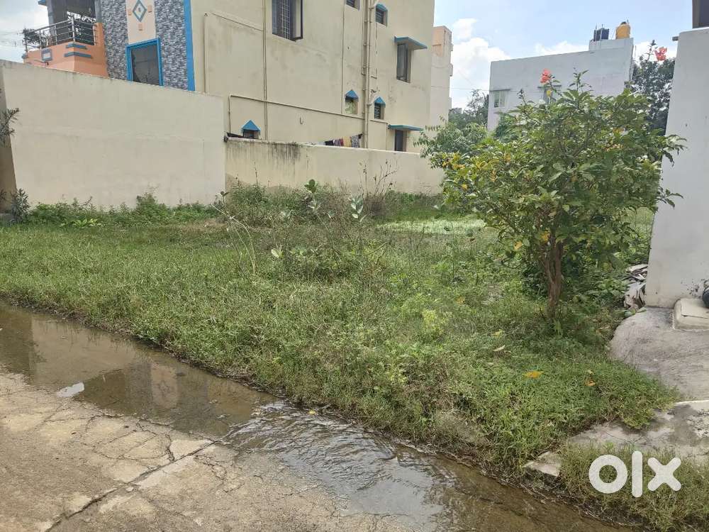 Near Ariyur railway gate