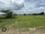 Land for sale Madurai to Rameshwaram Main road near Tirupachi toll gat