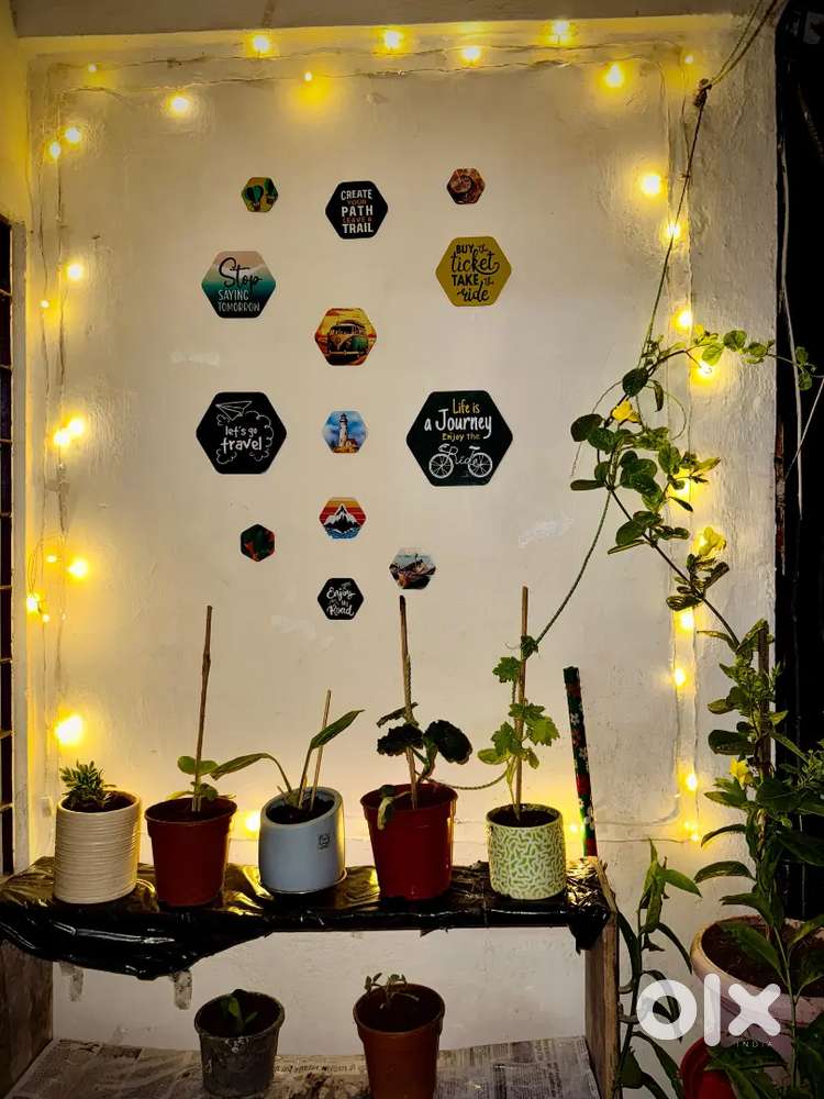 Working Female Flatmate Required