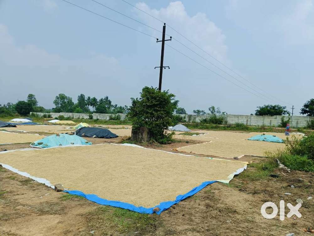 Amazing Roadside plot measuring 1 Acres 10 Guntas