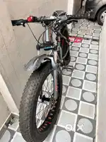 Luistone Fat Tyre Bycycle