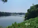 15.2 cent river waterfront plot for sale in kanjoor,near aluva,airport