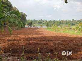 Periyar Waterfront Land