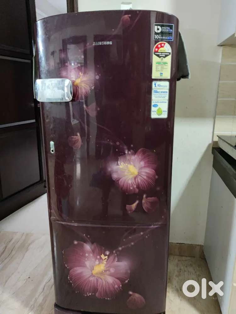 Fridge/refrigerator