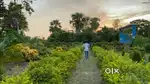 Land and plot