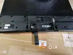 Sony Bravia