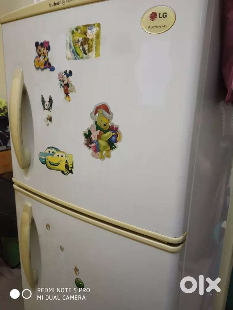 LG double door fridge
