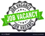 FRESHER AND EXPERIENCE