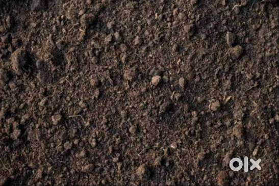 15000 sqft Land for Rent Morais City Trichy