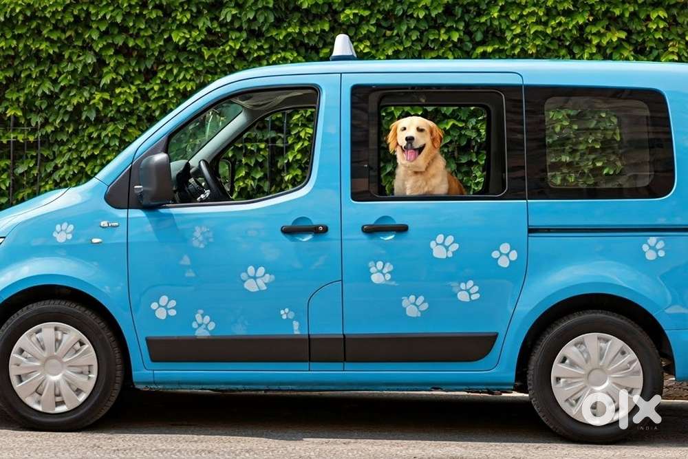 Calling & Coordination Role work from home