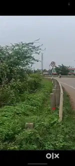 Jdp cholangi land