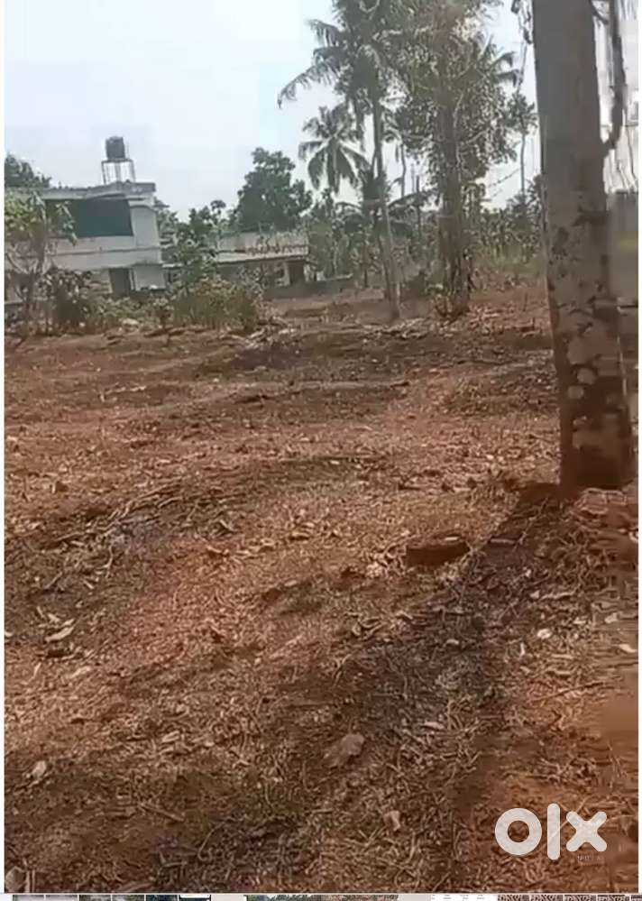 മുളന്തുരുത്തി