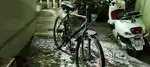 Mach city  adult bicycle