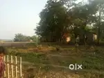 1 katha land, Orang 1 No. saikia chuburi assam