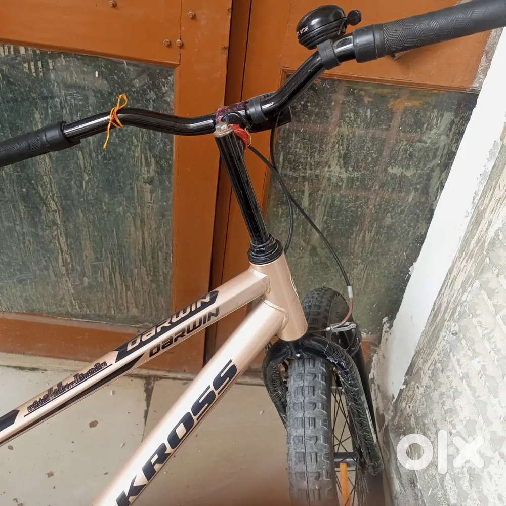 Kross Darwin cycle