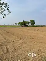 Agriulter land