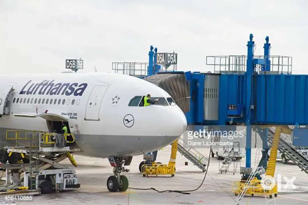 Huge vacancy open for 2025. Indigo Airlines jobs Apply fast Qualific