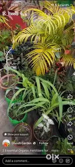Restaurant for rent.Jaipur highway.3 km from Bypass circle