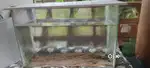 Fish aquarium