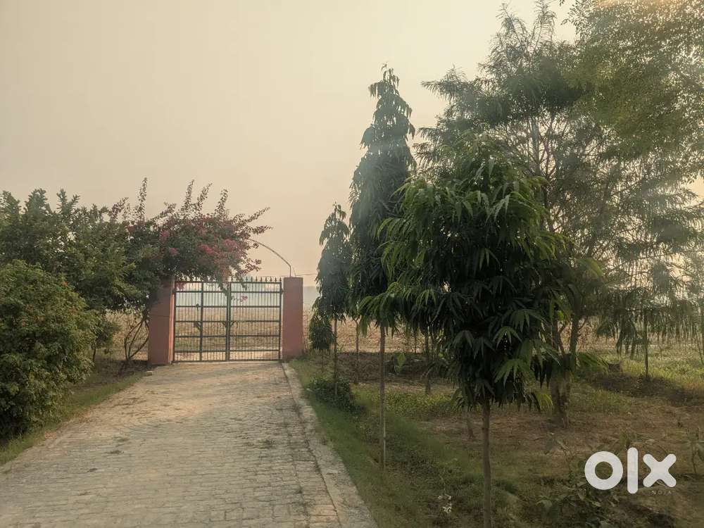 Farm house near nasirpur village.