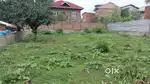 14 marlas Milkiyat plot for sale at hafiz bagh illahi bagh srinagar