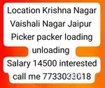 Picker packer loading unloading only male Vaishali Nagar Jaipur