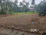 4.50 cent and 5 cent land for sale Irumpannam karigachir Tripunithura