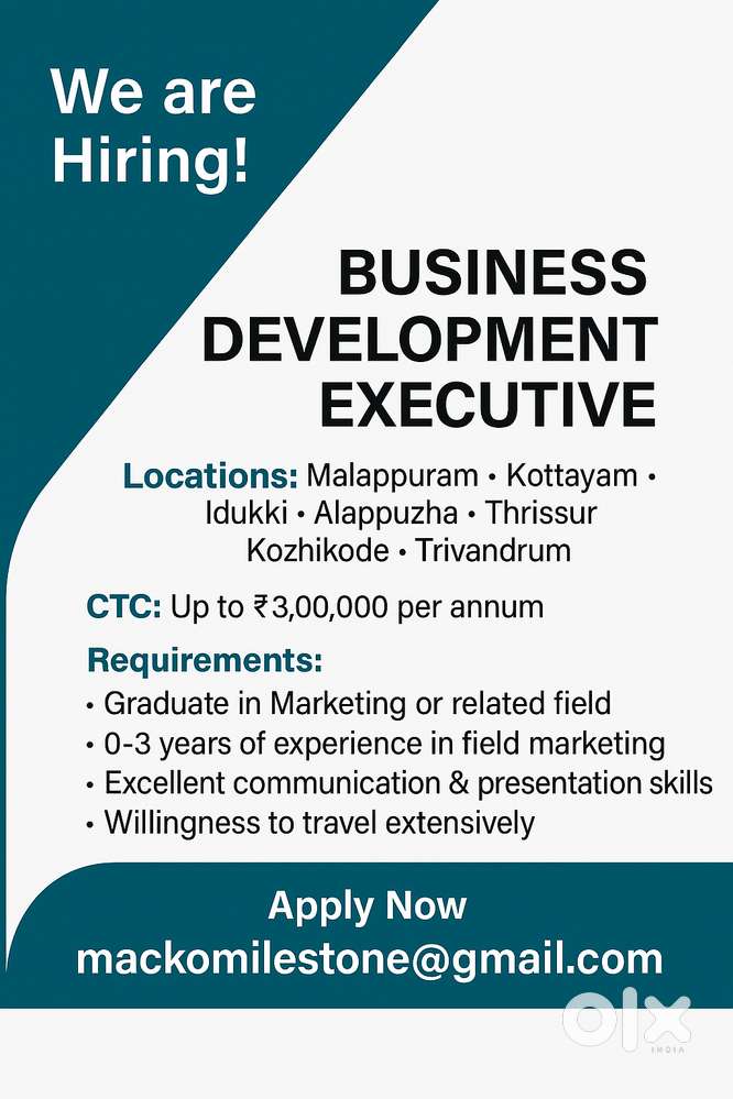Business Development executive