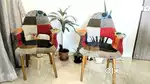 Two designer chairs ( 2 years old)