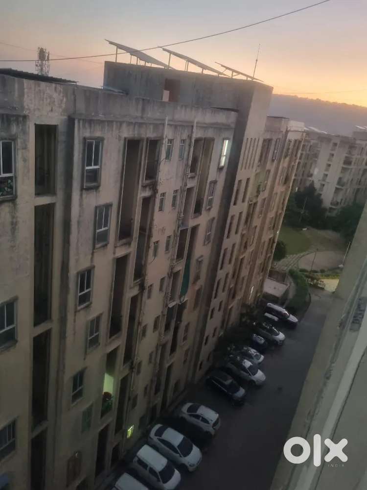 Flatmate require Xrbia Hinjewadi