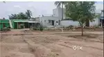 Farm land direct sale @dindigul