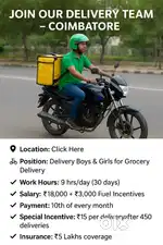Delivery boys and girls for grocery delivery