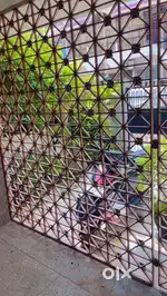 5 BHK with 2 balcony with beautiful garden lawn- Doctor Clinic