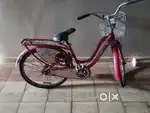 Lady Bird cycle