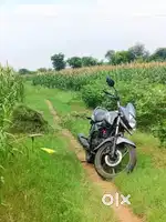 Honda shine 125, all okay, power start new battery...disk brakes.