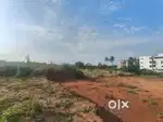 Devanhalli, Bengaluru - 20000 sq ft commercial converted land