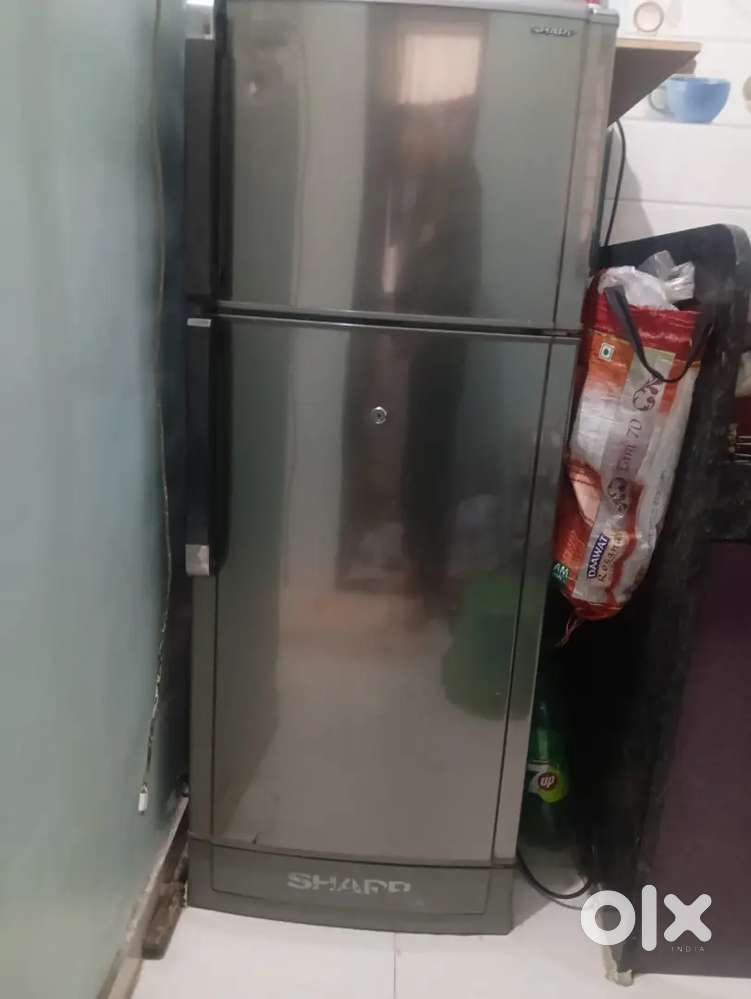 Fridge Sharp
