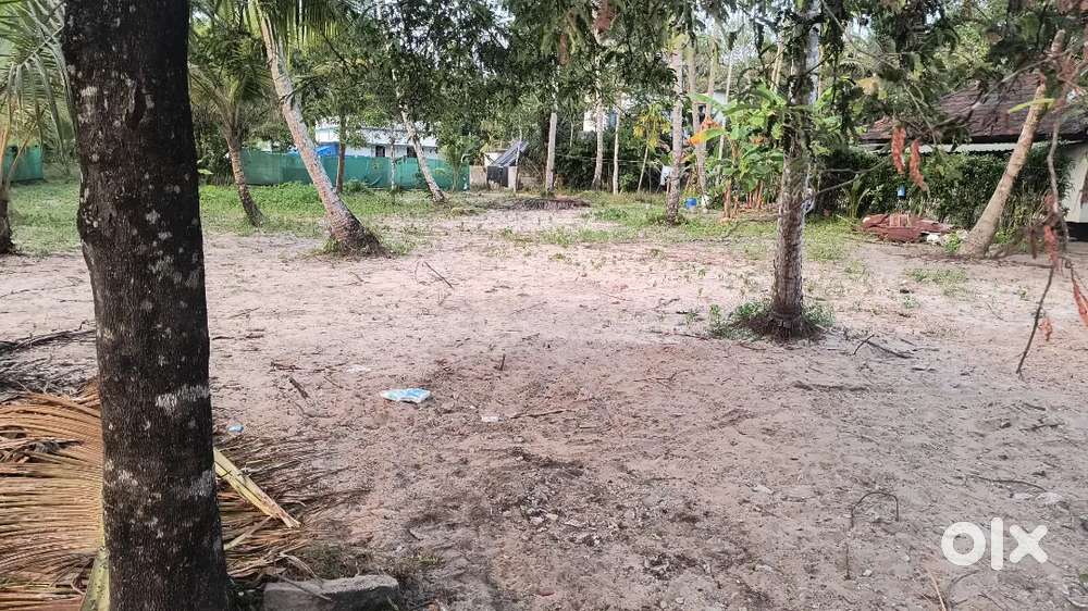 ചേർത്തല റെയിൽവേ സ്റ്റേഷന് സമീപം.