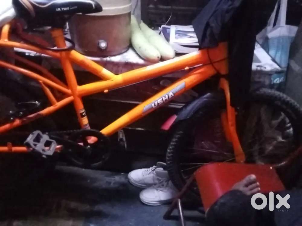 Good and 4 months old only