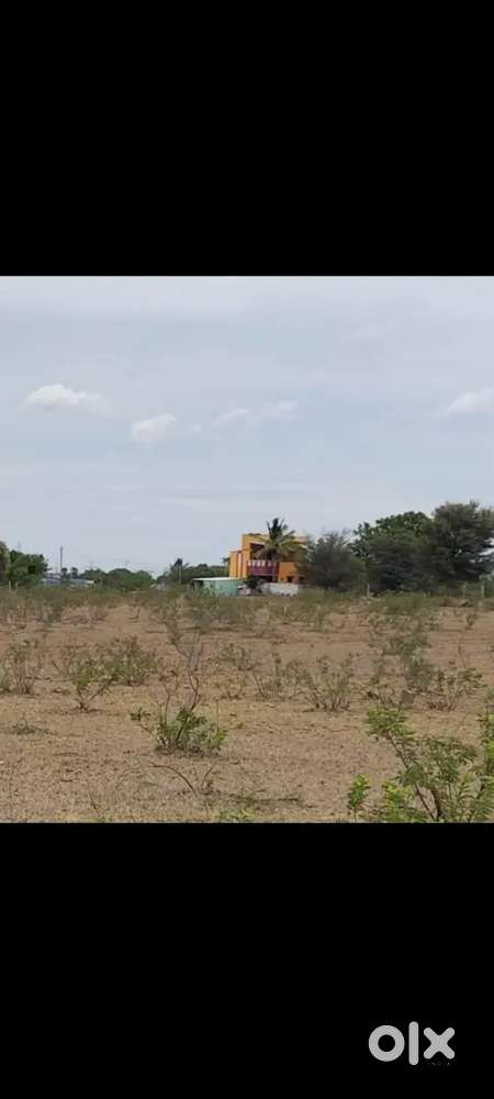 Panjapur bustand near (Fathima nagar)